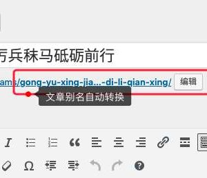 Wenprise Pinyin Slug